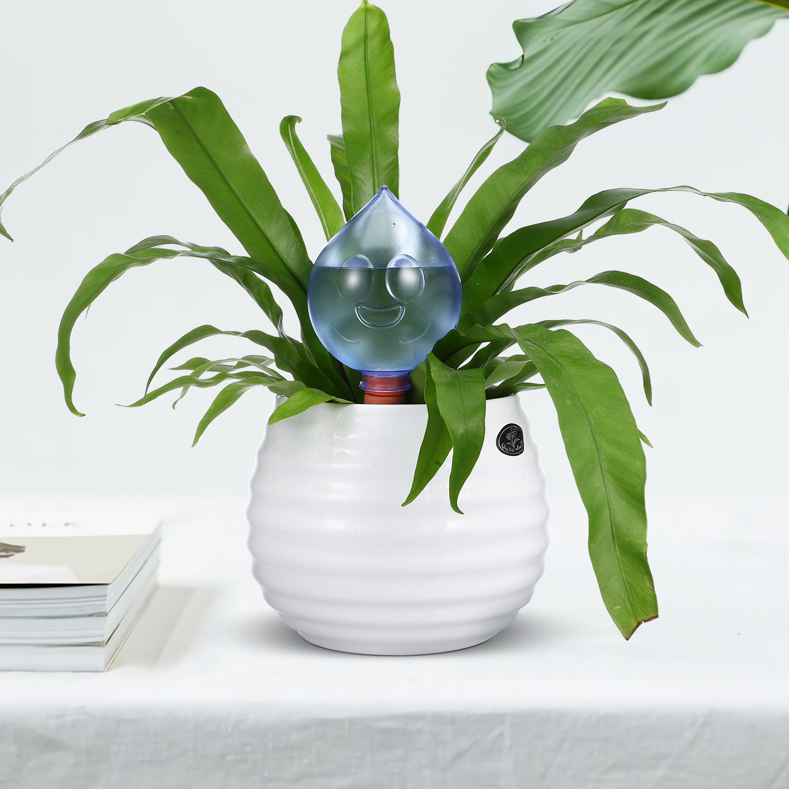 Self Watering Insert - 3 Adet Otomatik Sulama Küresi Tasarımı,