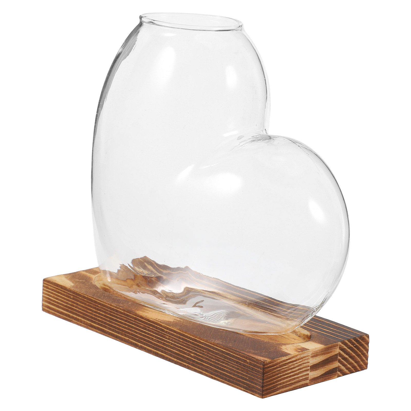 Propagation Station Vase - Hidroponik Cam Vazo, Şeffaf, Topraksız Bitki