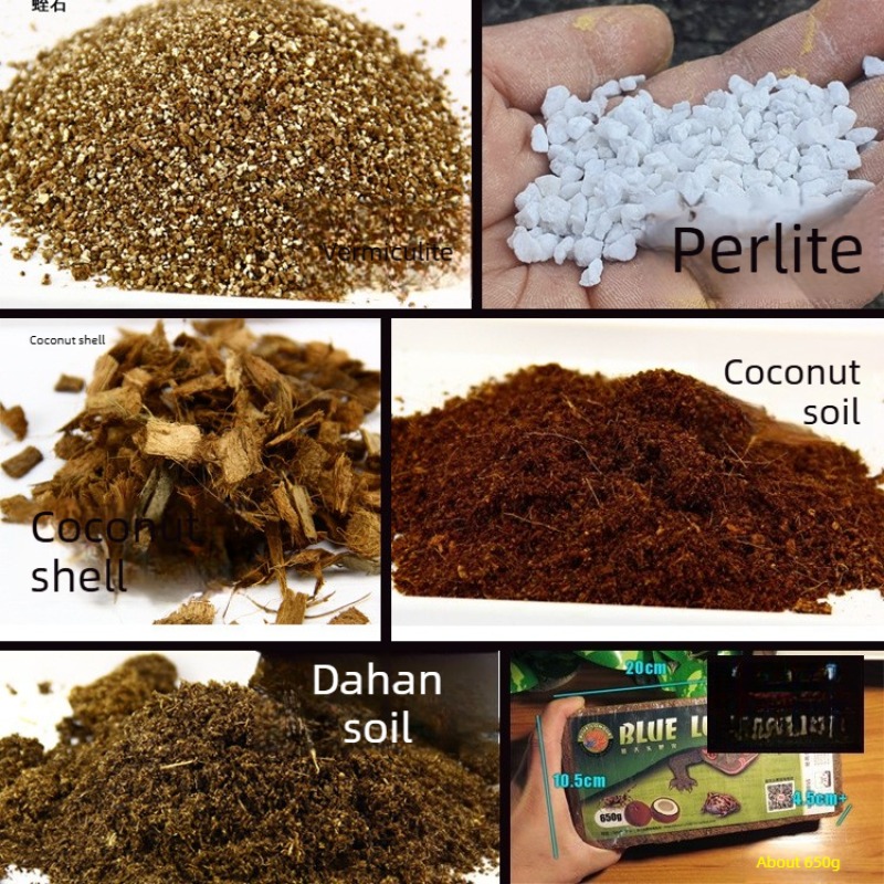 Hindistan Cevizi Toprağı Tuğla - Sphagnum Moss Dry incelemesi ve fiyatı