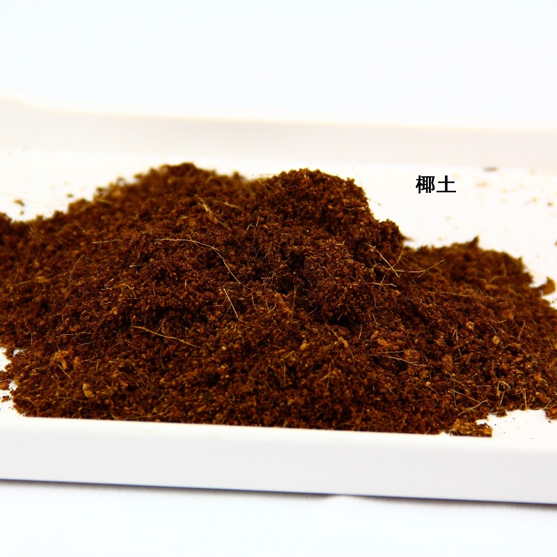 Hindistan Cevizi Toprağı Tuğla - Sphagnum Moss Dry incelemesi ve fiyatı