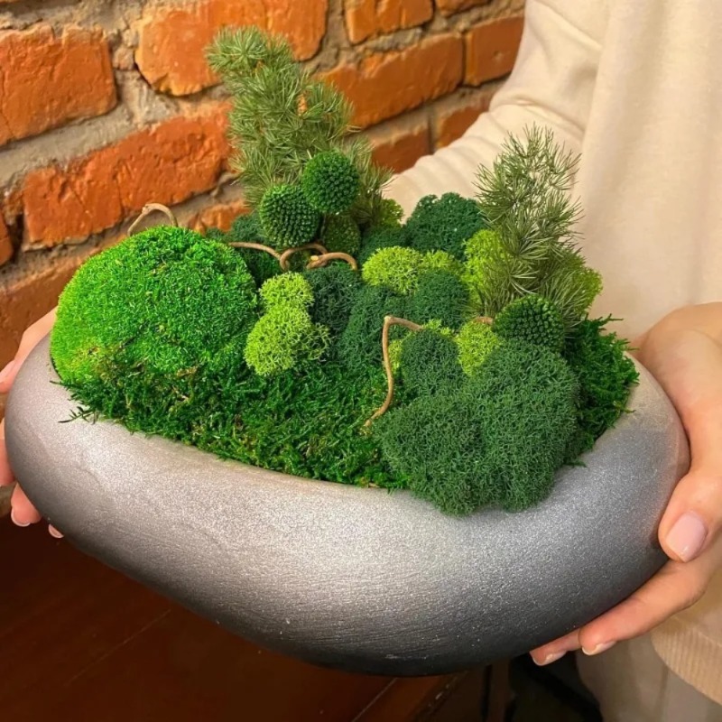Sahte Yosun Yapay Yeşil Yosun  - Sphagnum Moss Dry incelemesi ve fiyatı