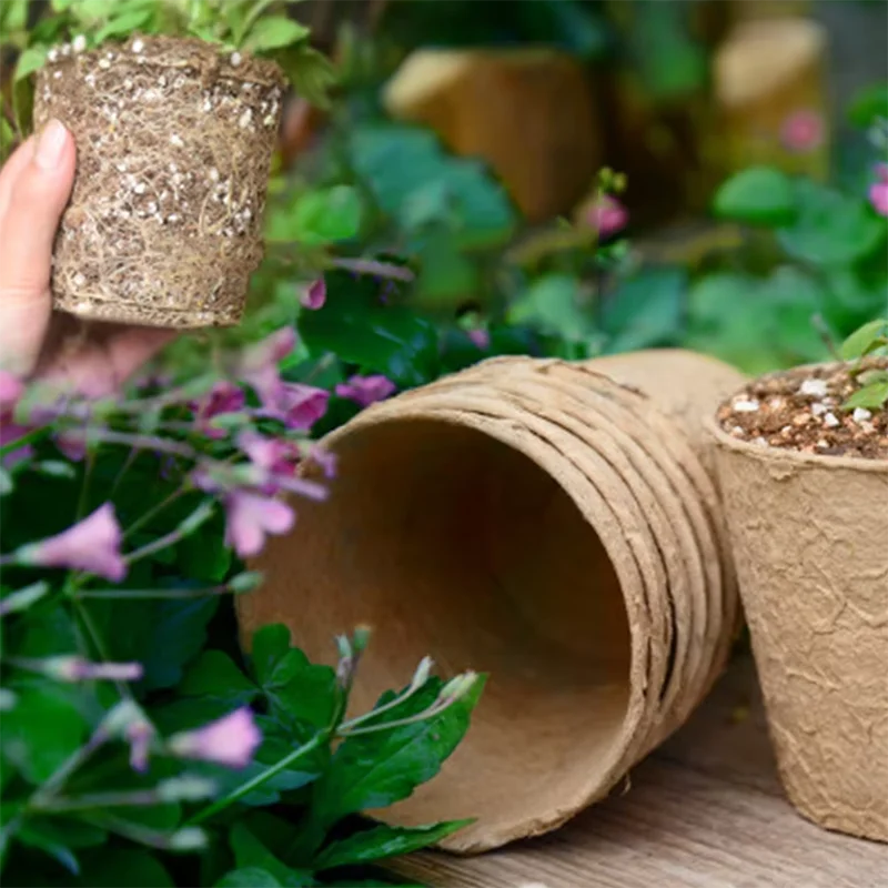 50 Adet Bahçe Tipi Yuvarlak To - Peat Pellet Tray incelemesi ve fiyatı