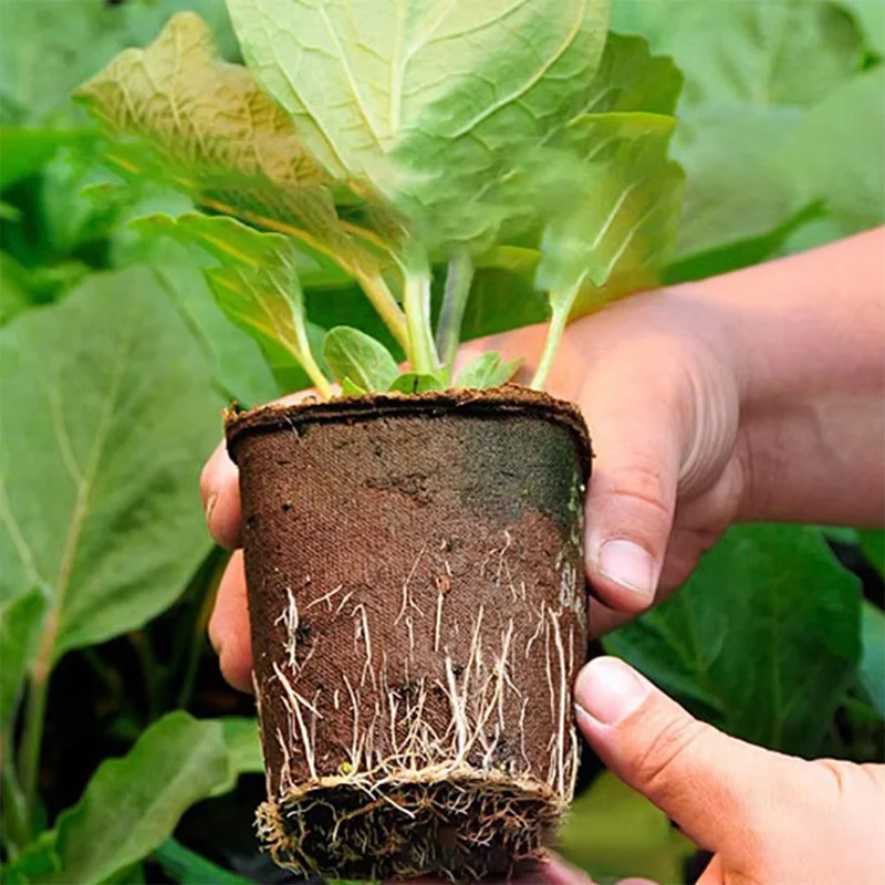 50 Adet Bahçe Tipi Yuvarlak To - Peat Pellet Tray incelemesi ve fiyatı