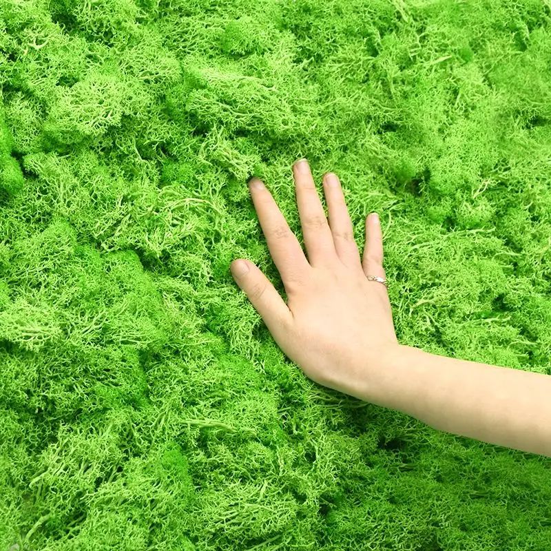 Yapay Yeşil Bitki Yosun Çim Sa - Sphagnum Moss Dry incelemesi ve fiyatı