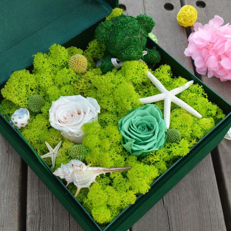 Yapay Yeşil Bitki Yosun Çim Sa - Sphagnum Moss Dry incelemesi ve fiyatı