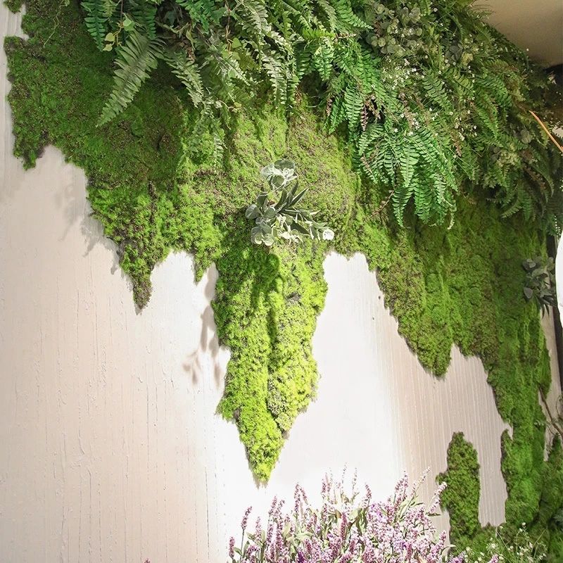 Yapay Yeşil Bitki Yosun Çim Sa - Sphagnum Moss Dry incelemesi ve fiyatı